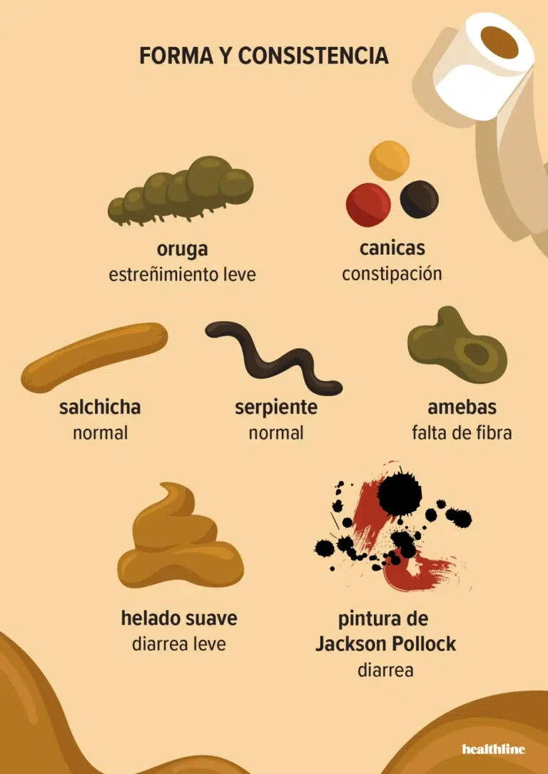 tipos-de-heces